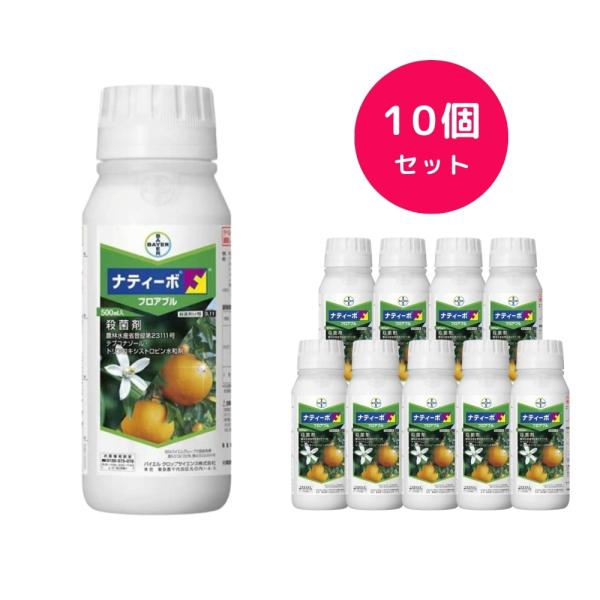 10個セット  ナティーボフロアブル 500ml かんきつ 柑橘 もも 桃 カキ 柿 ウメ 梅 小麦