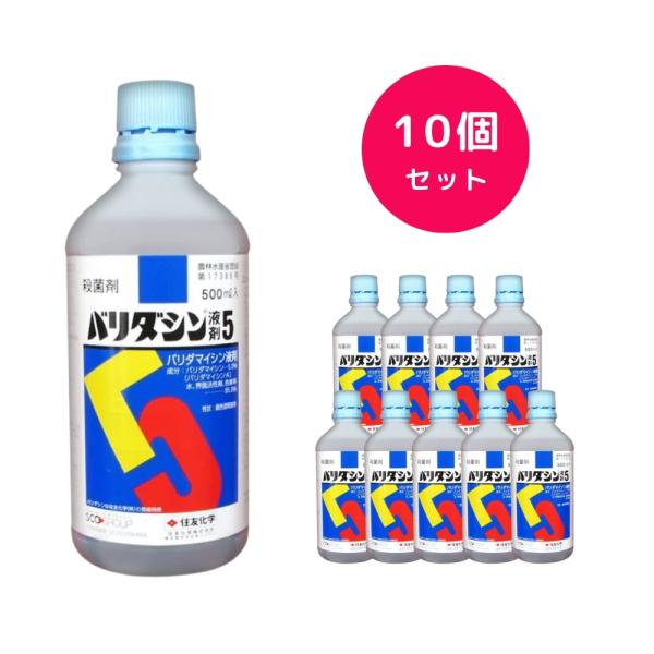 10個セット  バリダシン液剤5 500ml 殺菌剤 黒斑病 かいよう病 株腐病 黒腐病 軟腐病 黒斑細菌病 黒あざ病 青枯病