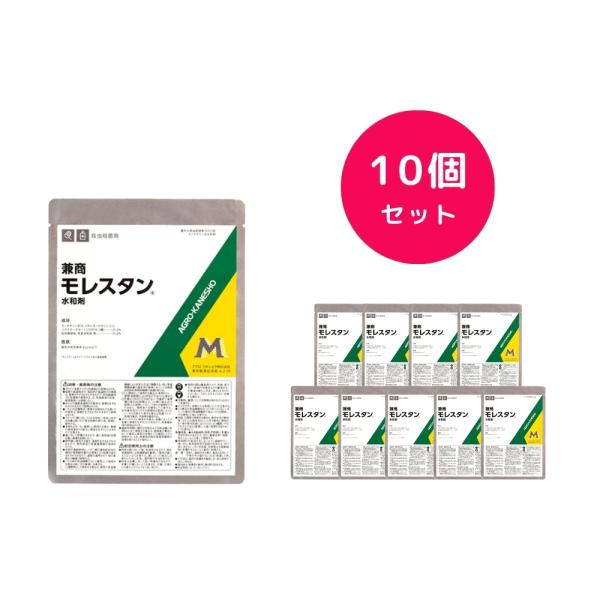 10個セット  モレスタン水和剤 100g 燻煙剤 くん煙 常温燻霧 ダニ類の卵 防虫 害虫 幼虫 成虫 殺虫剤