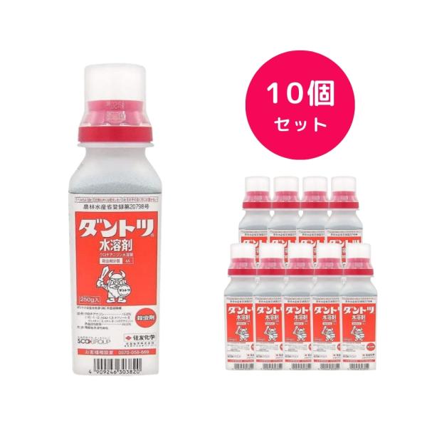 10個セット  ダントツ水溶剤 250g 殺虫剤 ビカクシダ コバエ 観葉植物 ハダニ カメムシ チョウ コウチュウ アブラムシ