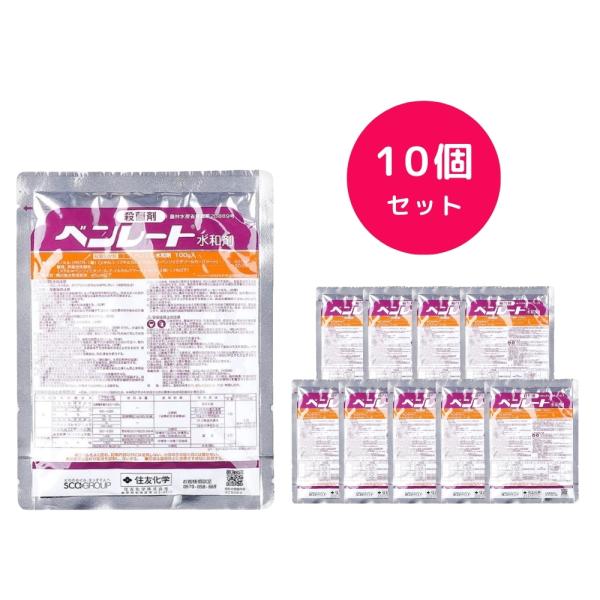 10個セット  ベンレート水和剤 100g 殺菌剤 カビ うどんこ病 そうか病 みかん  水稲 花 樹木 野菜 果樹 さつまいも