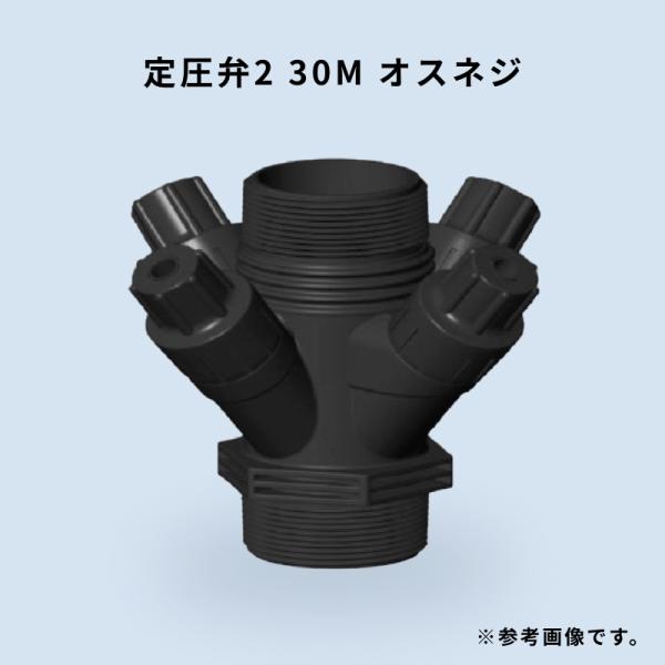 定圧弁 2X4バネ オスネジ 30M 2インチ 2次圧力3kg WB6349 住化アグリテック 住化農業資材