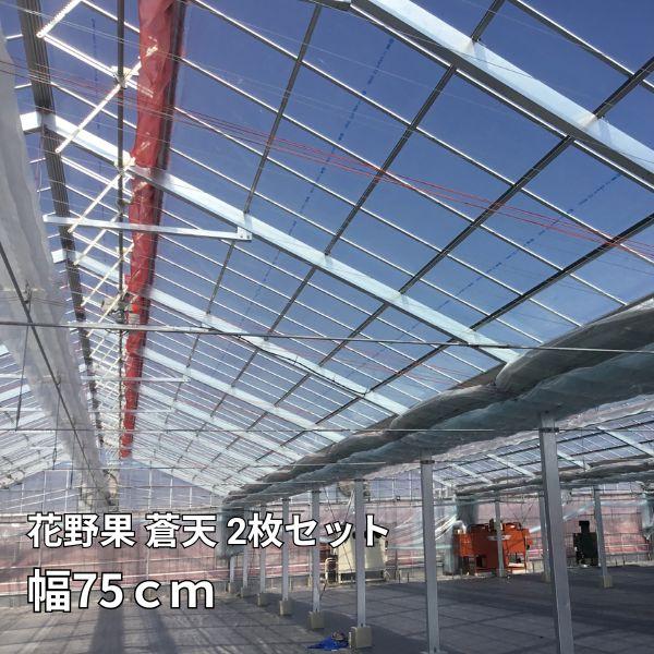 2枚セット】 花野果 蒼天 幅75cm 選べる長さ POフィルム 透明 農業用