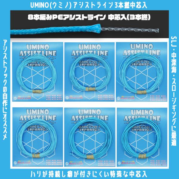 /メール便可/ UMINO (ウミノ) PEアシストライン 中芯入 60lb〜200lb (8号〜30号) SLJ 中深海 スロージギング