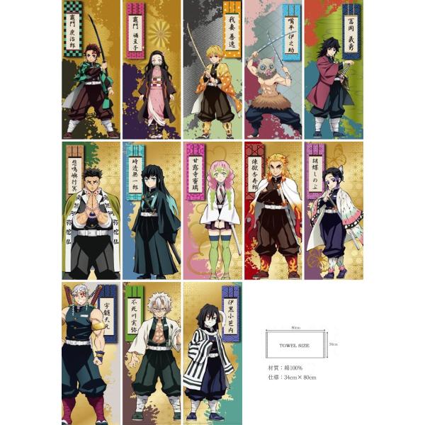 Sł̐n X|[c^I 34×80cm 100%