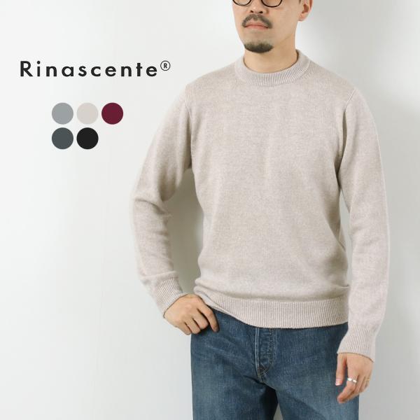 ストラスブルゴ Rinascente ホールガーメント モックネックニット 46 ストラスブルゴ Rinascente ホールガーメント モックネックニット 46