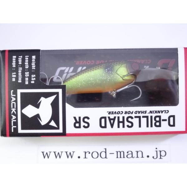 rodman_4525807197334