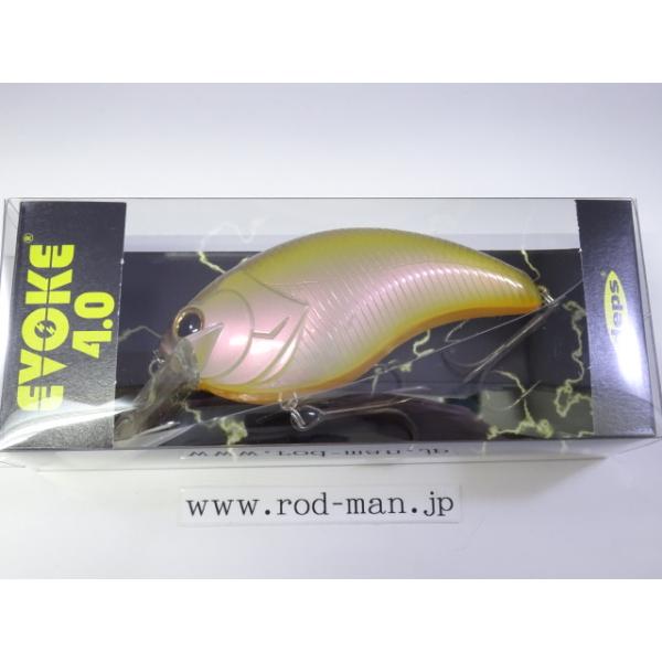 rodman_4544565214039