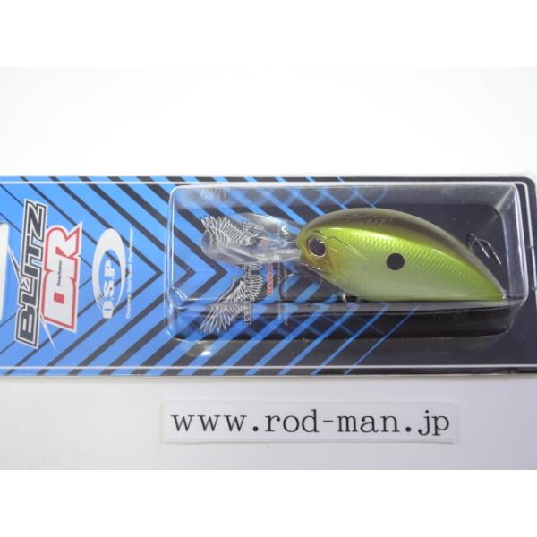 rodman_4573189525191