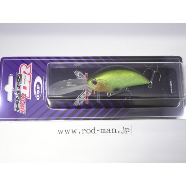 rodman_4573189548053