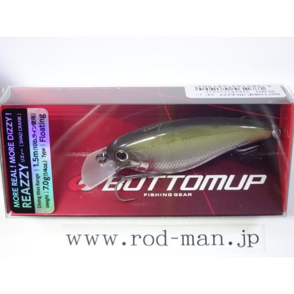 バス釣りルアーまとめ売りレイドジャパンボトムアップ BOTTOMUP（ボトムアップ） ボトムアップ☆リズィー☆REAZZY☆リアル