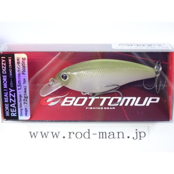 rodman_4589765484288