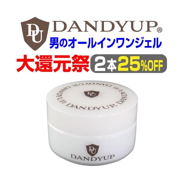 大還元祭 25 Off ダンディーアップ 男のオールインワンジェル 68g 2本