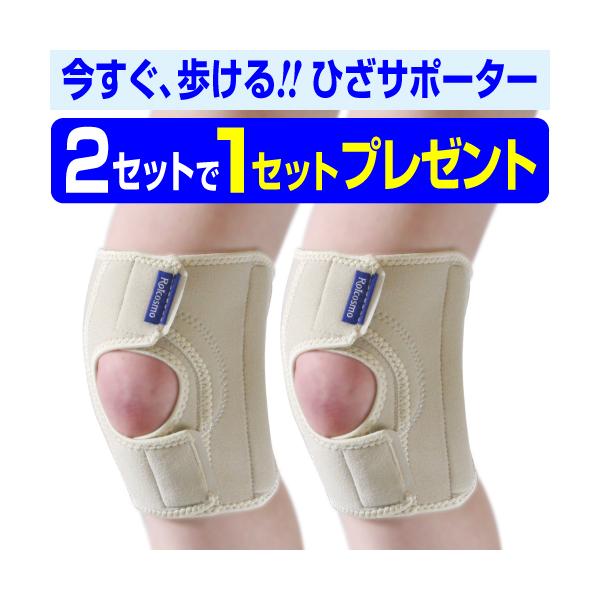 y2Zbg1Zbgv[gzGT|[^[ X|[c җp GɂƍɂɌw ЂPAT|[^[ 21g×22Zbg1Zbgv[gx