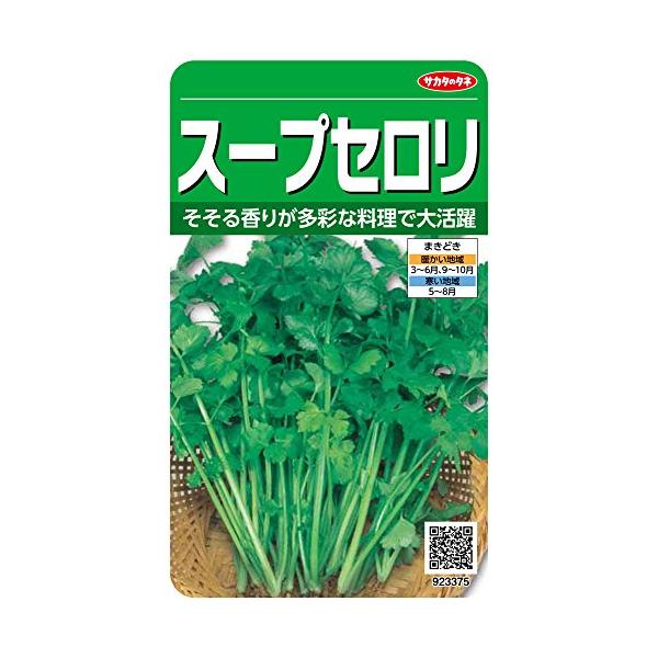 【スープセロリー】サカタのタネ（3ml）野菜種[春まき][秋まき](923375)