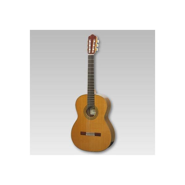 ASTURIAS ソロ スタンダード/C - toneplaceguitar ページ！ レア/希少