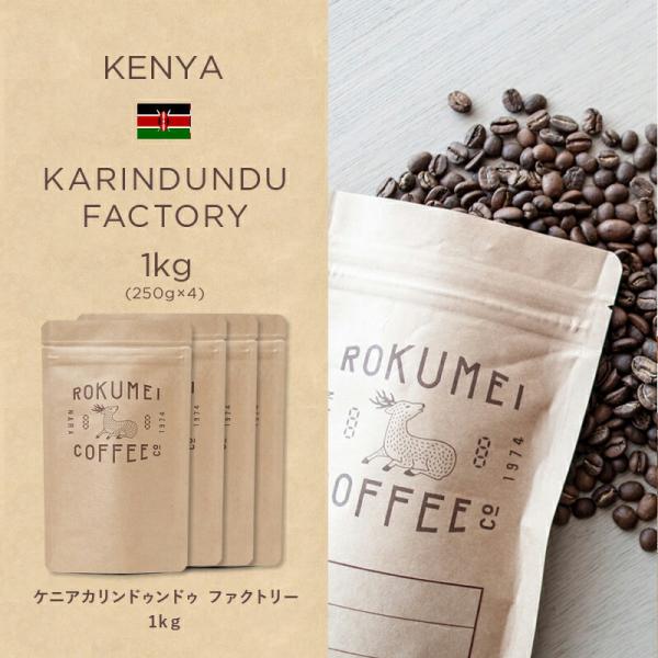 コーヒー豆 1kg ケニア カリンドゥンドゥ 焙煎日本チャンピオン ロクメイコーヒー 焙煎豆 珈琲豆 自家焙煎 高品質 スペシャルティコーヒー
