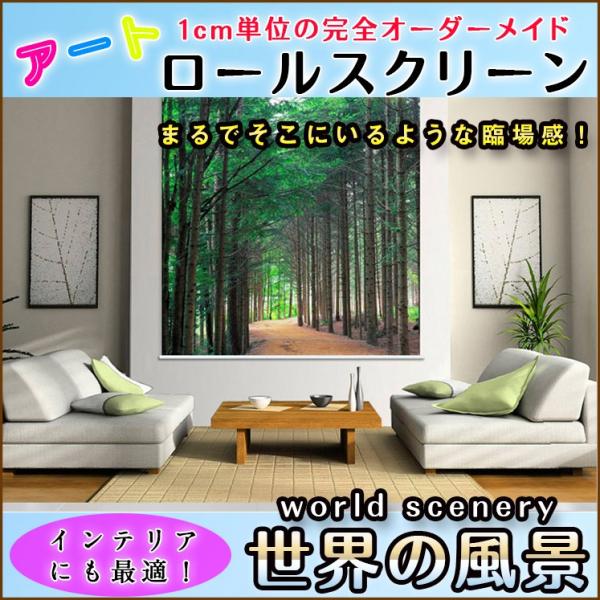 ロールカーテン おしゃれ 世界の風景 8022 25 B64 Buyee Buyee Japanese Proxy Service Buy From Japan Bot Online