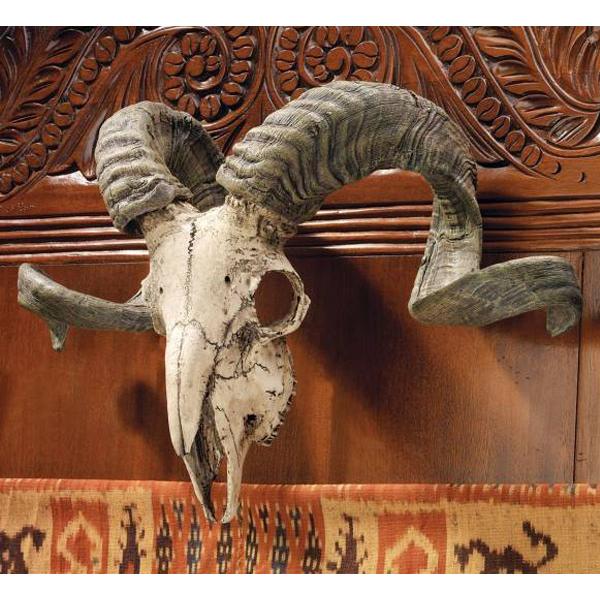チベットヤギ 山羊 スカルホーン 頭蓋骨と角 コルシカラム コルシカ島 雄羊 の頭蓋骨 壁掛け 輸入品 0n0004 浪漫堂ショップ 通販 Yahoo ショッピング