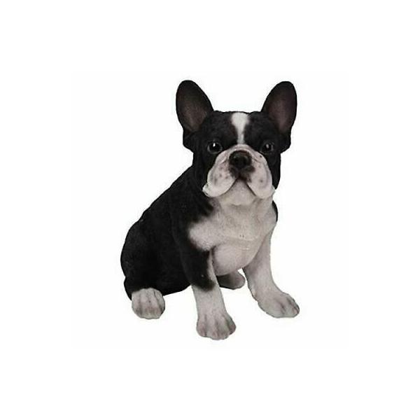 リアルな ブラック＆ホワイト色 フレンチブルドッグの子犬 ペットショップ 獣医 ドッグカフェ ペットホテル（輸入品）