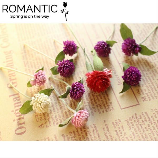 千日紅 ドライフラワー ３グラム 花材 ハーバリウム 素材 ヘリクリサム 帝王貝細工 セット 詰め合わせ ハンドメイド Sen 1 Romantic 通販 Yahoo ショッピング