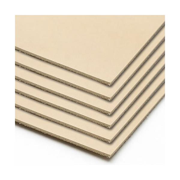 お買い得セット ヌメ革きなり 成牛タンロー1 0mm厚 サイズ 210x297mm 6枚セット Www Wearefromdust Org