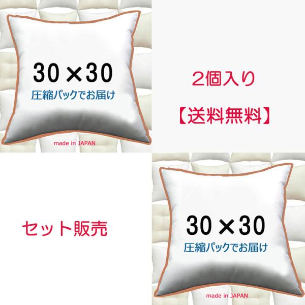 ★お得な送料無料　2個入りセット販売　です。（北海道、沖縄・離島は追加送料必要）30ｘ30のセット販売シリーズ：【１個入】【２個入】【３個入】【４個入】【５個入】【６個入】●反発力のあるイオン加工したクリーンなポリエステルわた（殺菌除臭）を...