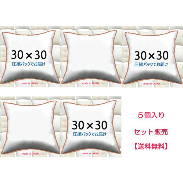 ヌードクッション　30×30cm　本体　中材　中身　手芸用　ハンドメイド用　30ｘ30　５個セット販売
