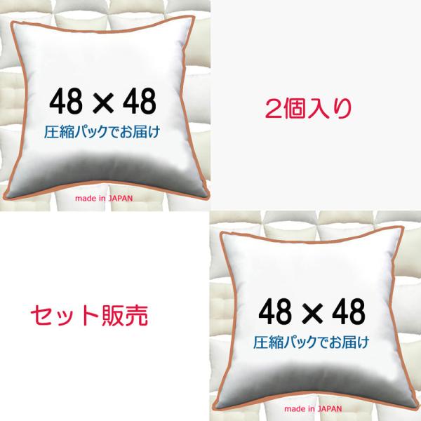 ★お得な送料無料　２個入りセット販売　です。（北海道、沖縄・離島は追加送料必要）48ｘ48のセット販売シリーズ：【１個入】【２個入】【３個入】【４個入】【５個入】●反発力のあるイオン加工したクリーンなポリエステルわた（殺菌除臭）を使用。●圧...