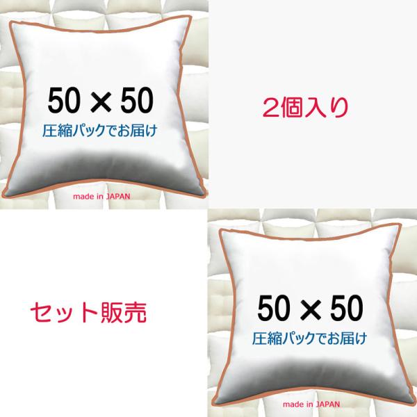 ★お得な送料無料　２個入りセット販売　です。（北海道、沖縄・離島は追加送料必要）50ｘ50のセット販売シリーズ：【１個入】【２個入】【３個入】【４個入】●反発力のあるイオン加工したクリーンなポリエステルわた（殺菌除臭）を使用。●圧縮パックで...