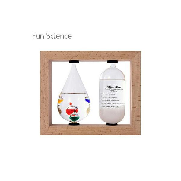 JYƁ@Fun Science@KXt[gxvXg[OX@333-272