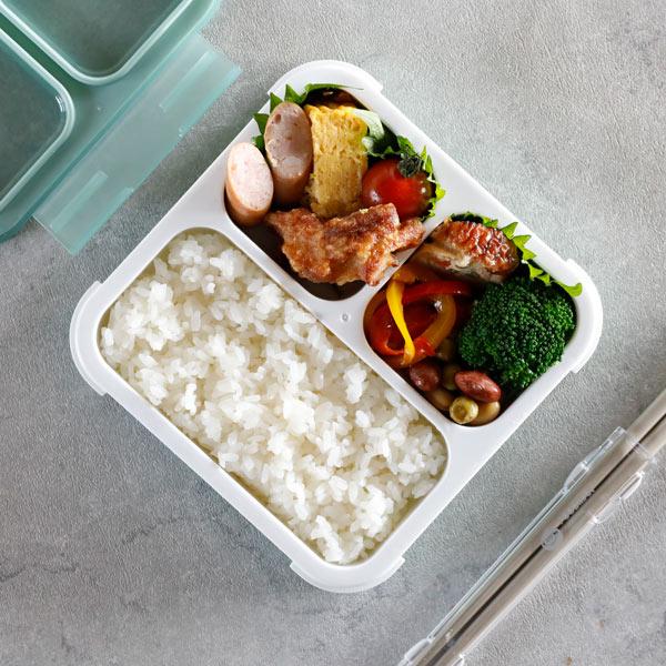 CBジャパン dsk.pig 薄型弁当箱 抗菌フードマン 500 : グラスゴー