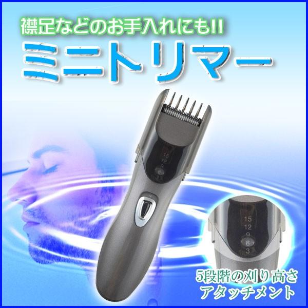 バリカン 小型 ヒゲ お手入れ モミアゲ ミニトリマー 襟足 Lozenstar Cb 544 Cb 544 Roomdesign 通販 Yahoo ショッピング