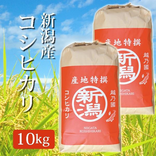 コシヒカリ 10kgの通販 価格比較 価格 Com