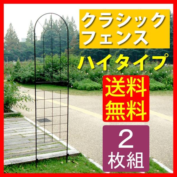 �A�C�A���t�F���X220(2���g) YBIF-220-2P ����s�� �����s��