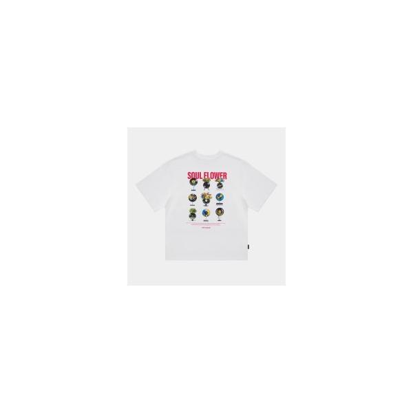 APPLEBUM アップルバム 