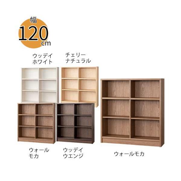 爆買 小島工芸 本棚 アコード 120M ミドルタイプ 低ホルム 国産書棚 耐震機能 頑丈組立不要 完成品 幅120 奥行30 高さ123