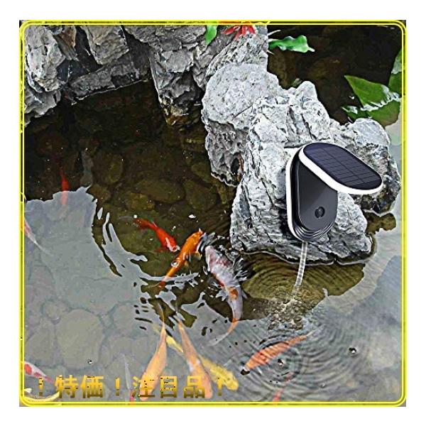 水槽ポンプ 小型 検索ランキング注目度順 水槽ポンプ 小型 ペット ペットグッズ