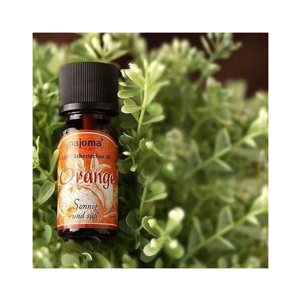 GbZVIC A}IC A} IC  fBt[U[ @ A}|bh m pajoma 1890/100%VRGbZVIC n