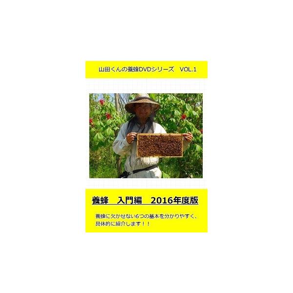 山田くんの種蜂 新王6枚群 従来型巣箱付き Buyee Buyee Japanese Proxy Service Buy From Japan Bot Online