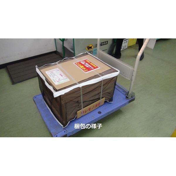 山田くんの種蜂 新王5枚群 山田くんの巣箱入り Buyee Buyee Japanese Proxy Service Buy From Japan Bot Online