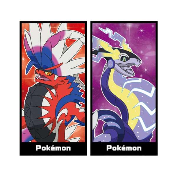 ポケットモンスター ミニタオル 2Pセット ポケモン ミニタオル 2枚組