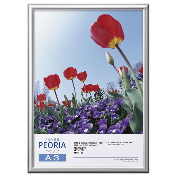 【商品概要】フレーム材質 : アルミ製重量: 630gパッケージ:PP袋入画面サイズ : 283×406mm前面板 : PET板写真だけではなくポスターや絵画の額装にもピッタリなシンプルなデザインです。額縁外寸法 : W319×H442×D...