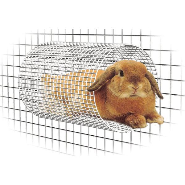 【商品概要】【商品説明】【商品詳細】ブランド：KKDYWQZEE商品種別：ペット用品商品名：KAWAI C・A・T 空中ハウス製造元：川井商品番号：42871【当店からの連絡】