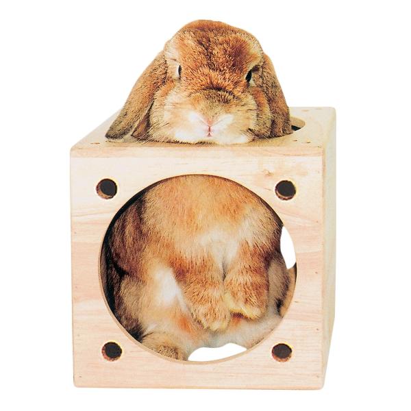 【商品概要】本体サイズ (幅X奥行X高さ) :18×18×18cm【商品説明】【商品詳細】ブランド：KAWAI C・A・T商品種別：ペット用品商品名：KAWAI C・A・T キューブハウス製造元：川井商品番号：42873商品タイプ：カジュア...