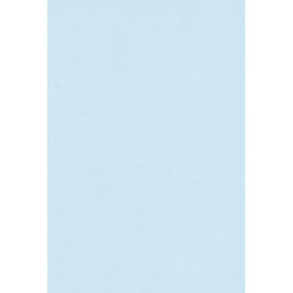 【商品概要】21.0cm×29.7cm【商品説明】【商品詳細】ブランド：エスケント商品種別：ホビー商品名：エスケント 色画用紙 A4 ライトブルー 100枚 213206製造元：エスケント商品番号：213206商品内容：A4色：ライトブルー...