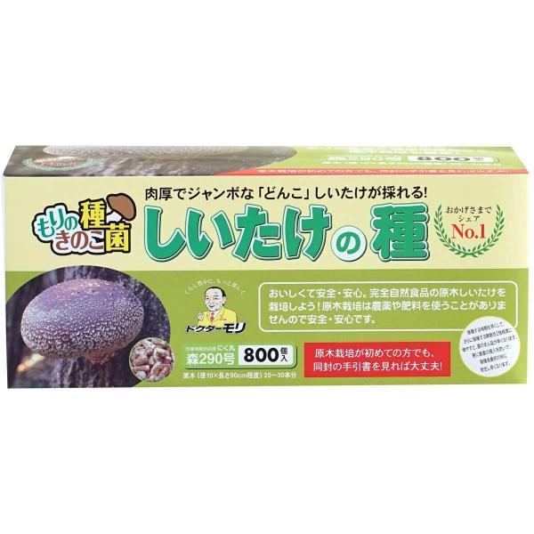森のきのこ倶楽部 しいたけ種駒 森290号 にく丸 (800駒) きのこ