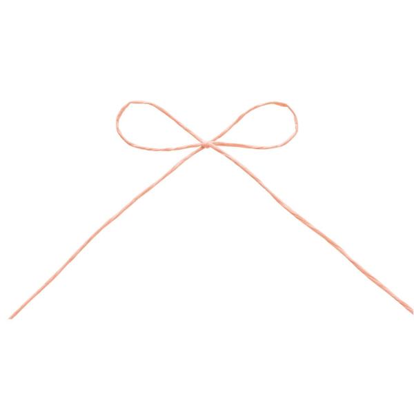 【商品概要】入数:8色番号:6素材:パルプスプール:10cmφ細いカラフルな紙紐は、ナチュラルなハンドメイド風ラッピングにおすすめ【商品説明】【商品詳細】ブランド：東京リボン商品名：東京リボン パピエール 6 ピーチピンク 約1mm×130...