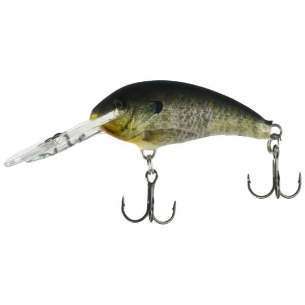 Rapala SSR クランクベイト 5個セット SSR(SHALLOW SHAD RAP) | Rapala HP