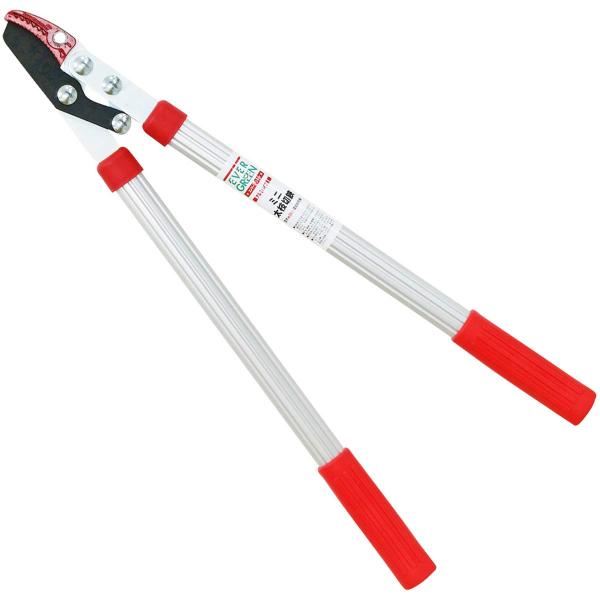 【商品概要】太い枝も楽々切れる!!約25mmの切断が可能!!(生木状態での切断目安サイズです。）生産国；ベトナム【商品説明】説明太い枝も楽々切れる!!【商品詳細】ブランド：DAISHIN商品名：大進(ダイシン) ミニ太枝切鋏 大進 3158...